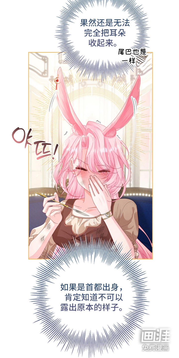 黑狼公爵的兔子漫画-图5