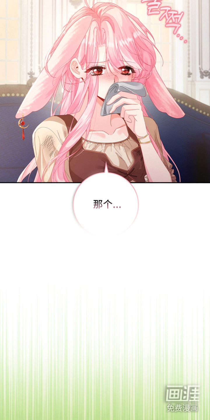 黑狼公爵的兔子漫画-图11