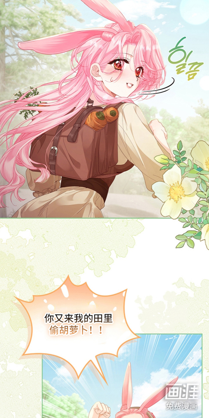 黑狼公爵的兔子漫画-图14