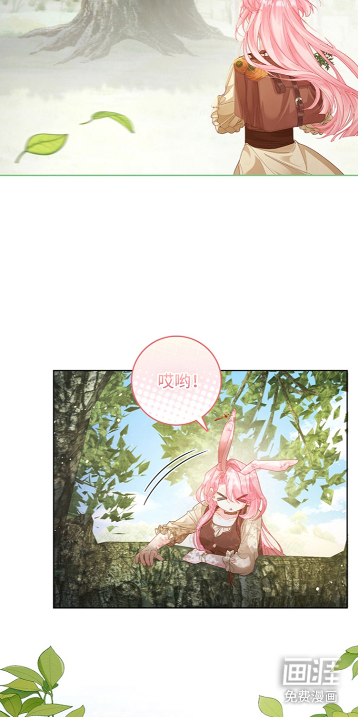 黑狼公爵的兔子漫画-图18
