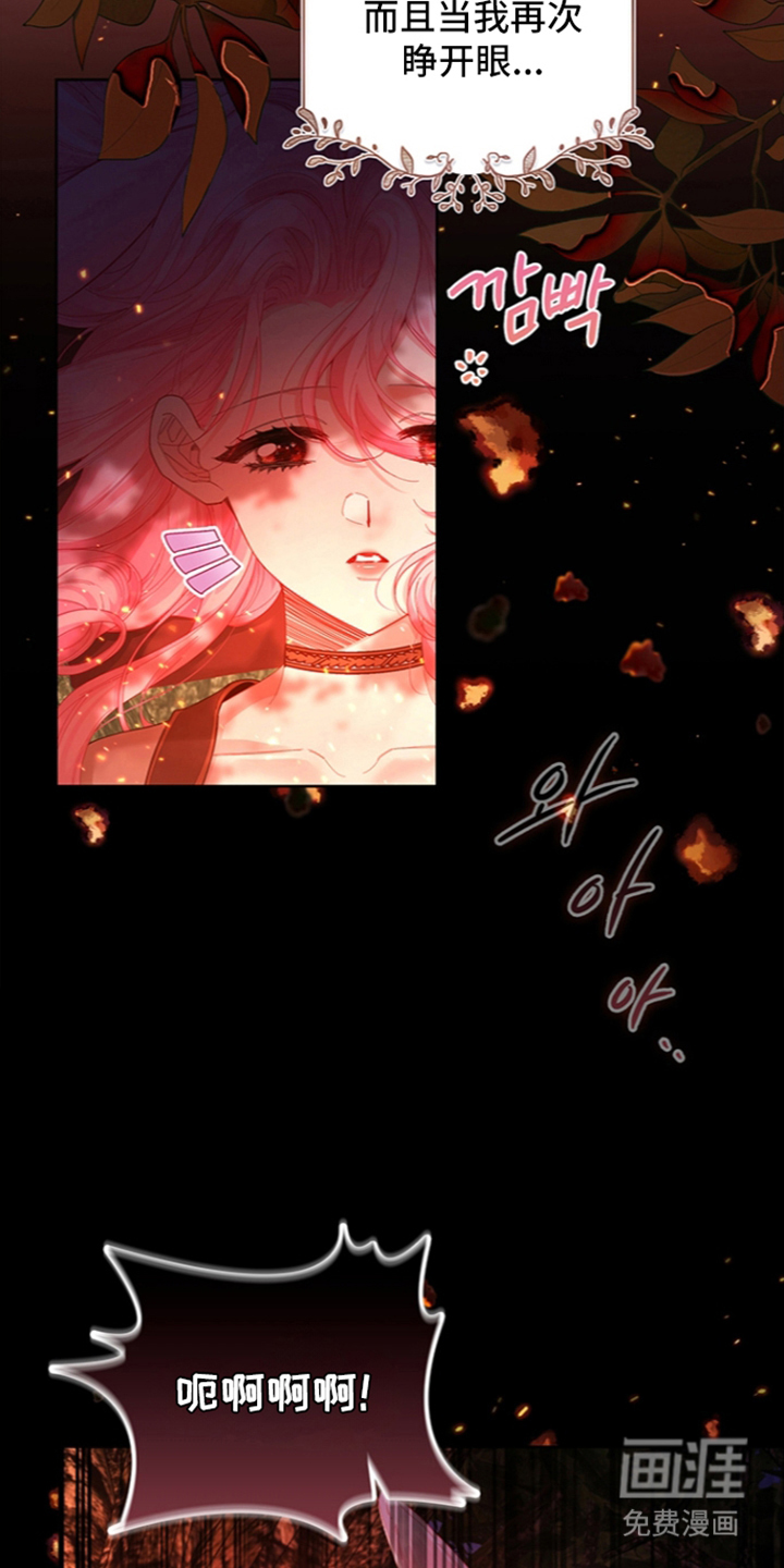 黑狼公爵的兔子漫画-图24