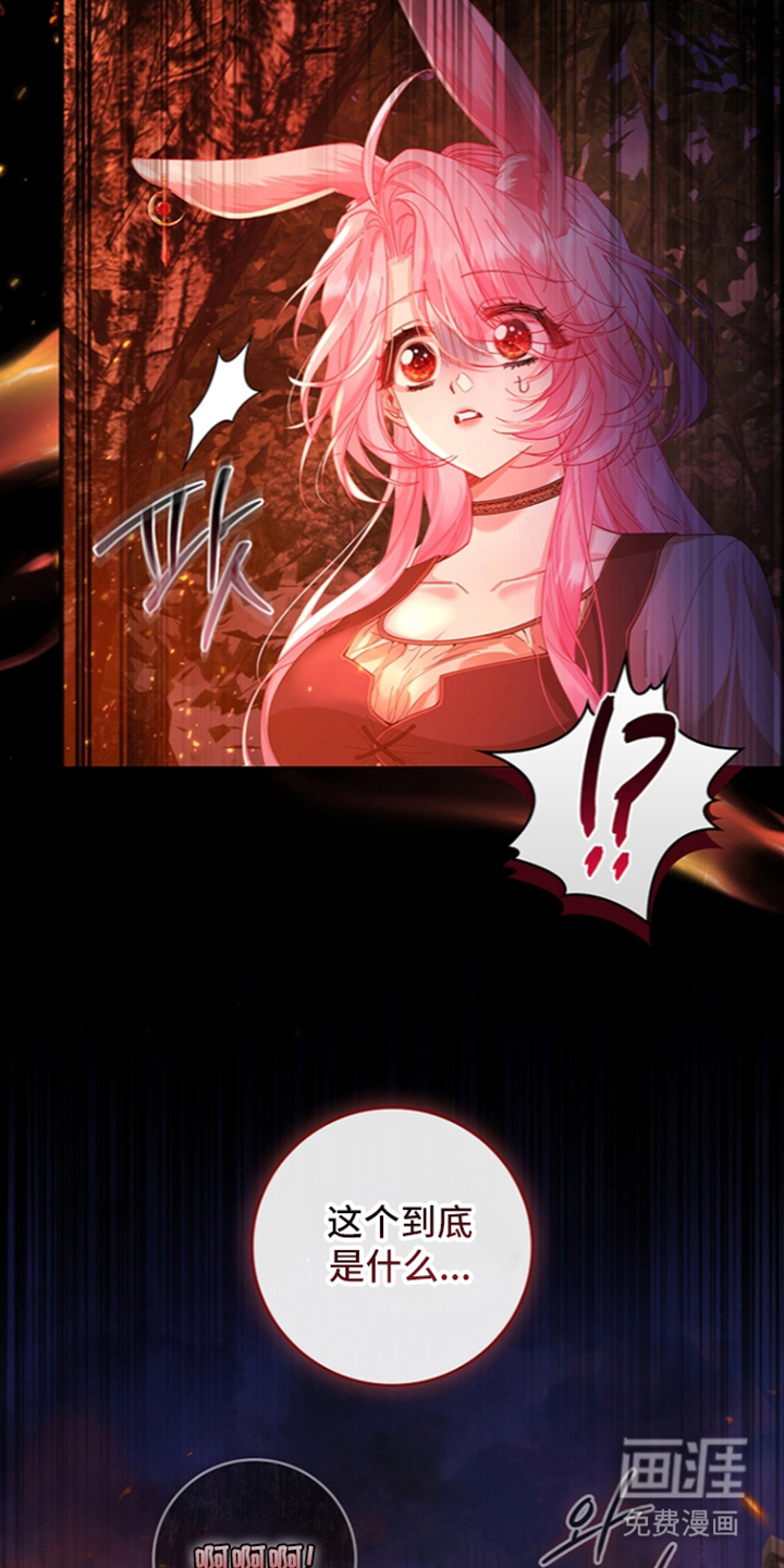 黑狼公爵的兔子漫画-图25