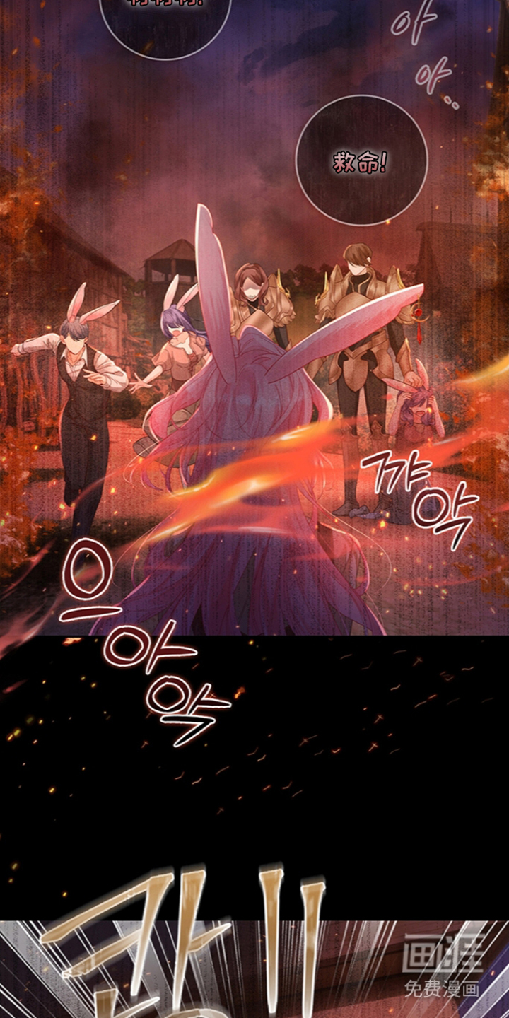 黑狼公爵的兔子漫画-图26