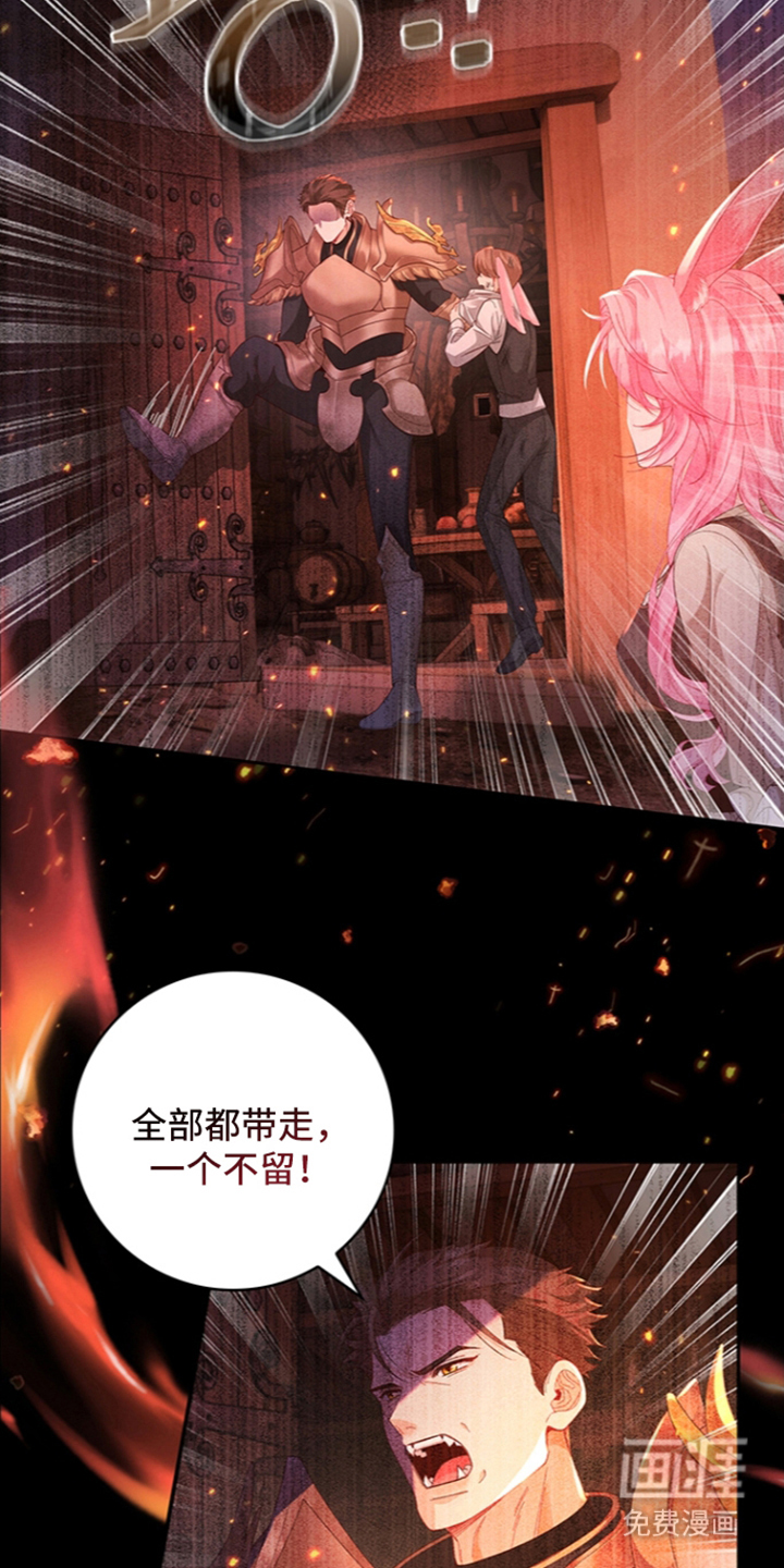 黑狼公爵的兔子漫画-图27
