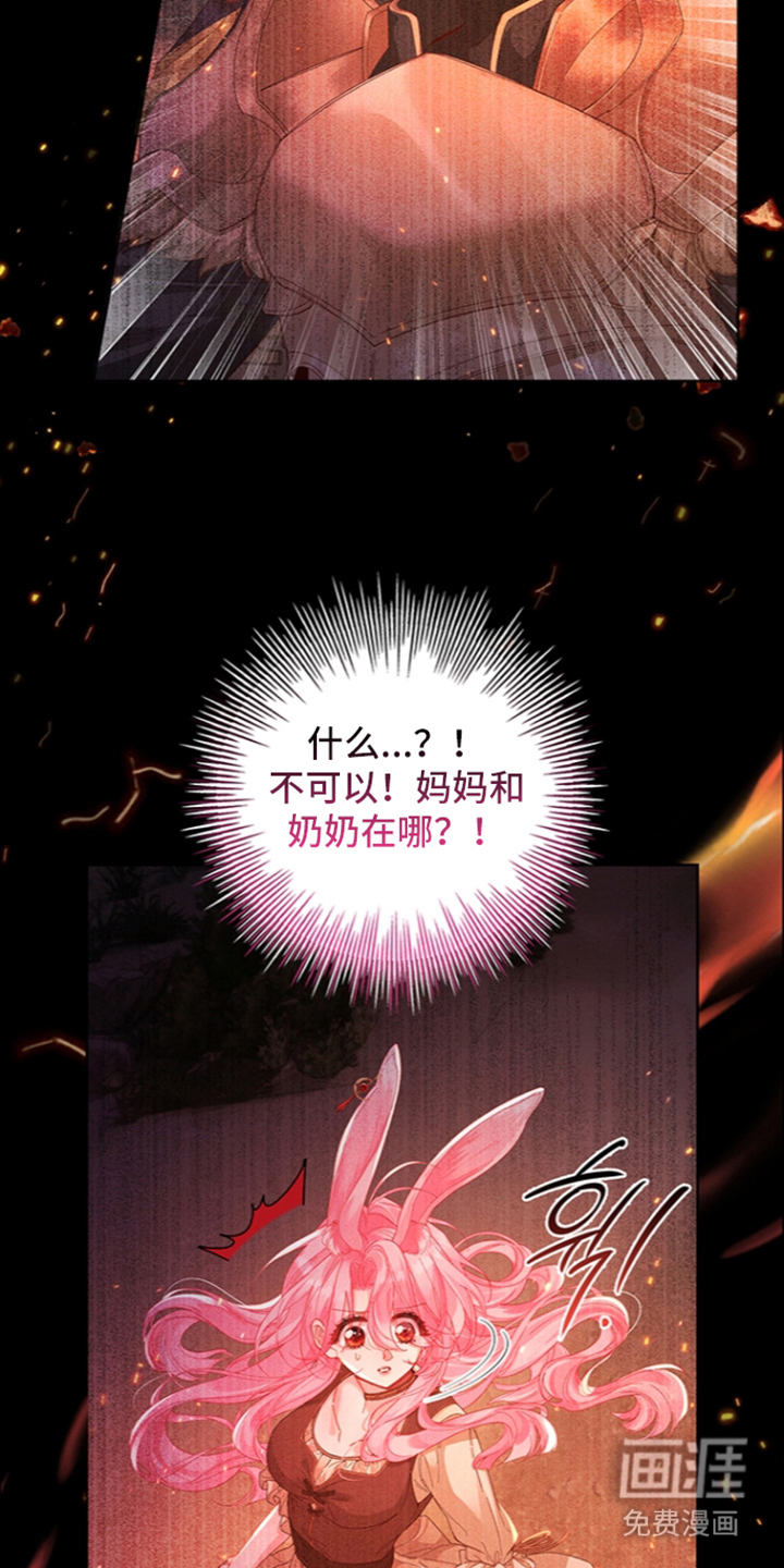 黑狼公爵的兔子漫画-图28
