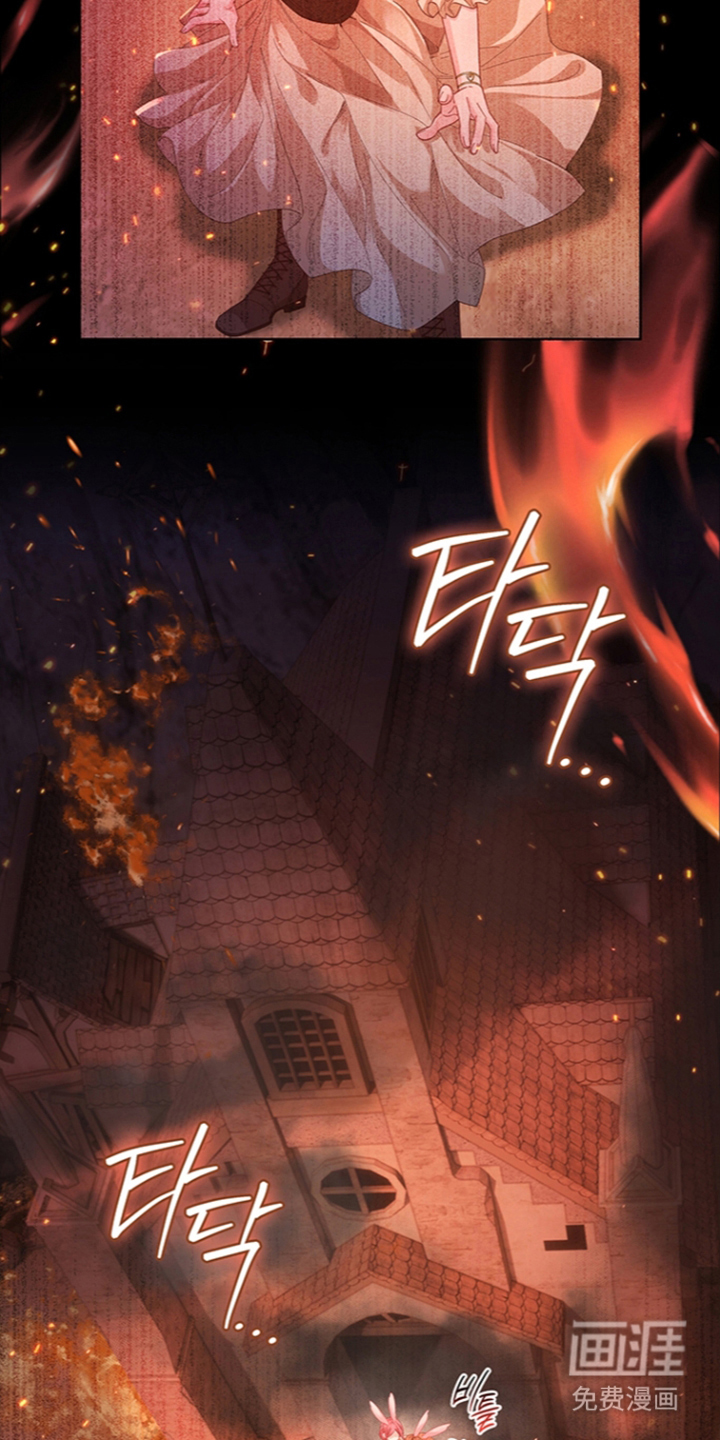黑狼公爵的兔子漫画-图29