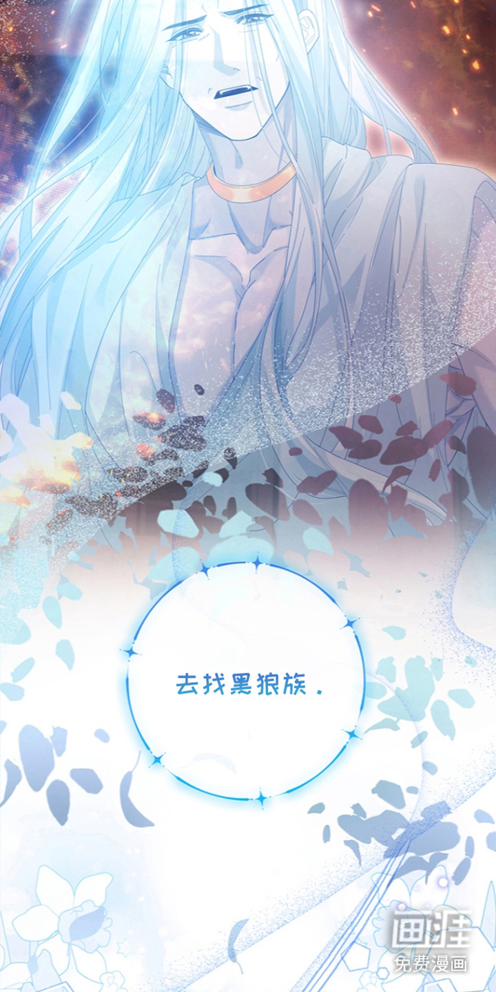 黑狼公爵的兔子漫画-图7