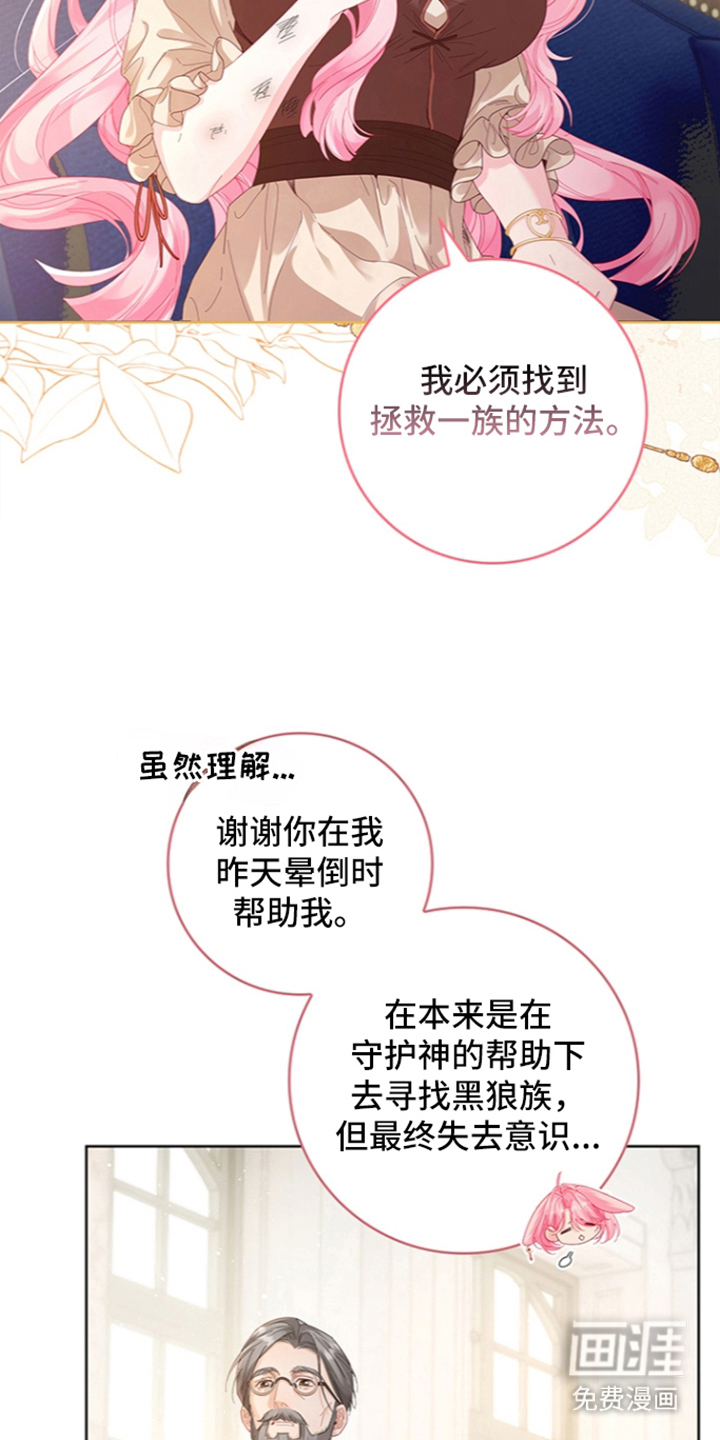黑狼公爵的兔子漫画-图11