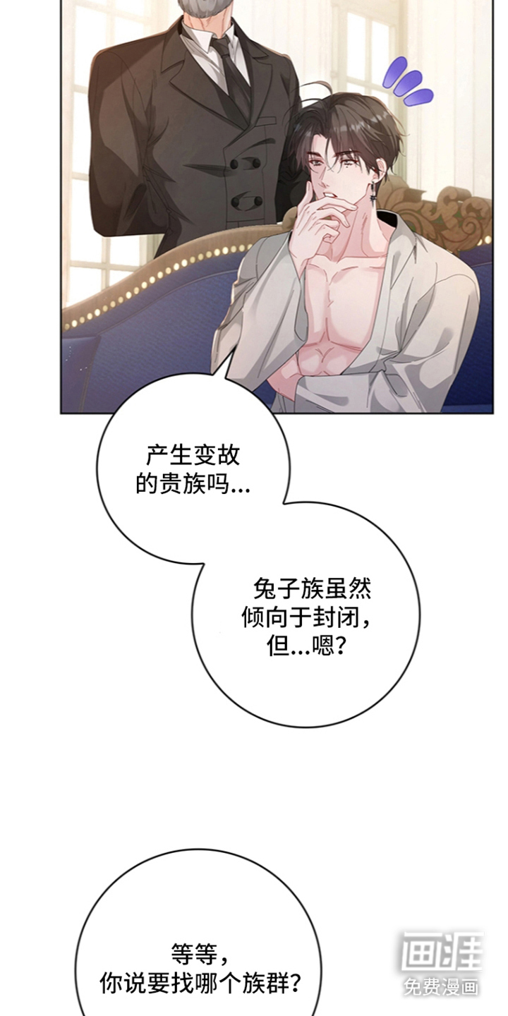 黑狼公爵的兔子漫画-图12