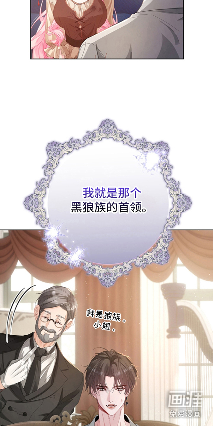 黑狼公爵的兔子漫画-图15