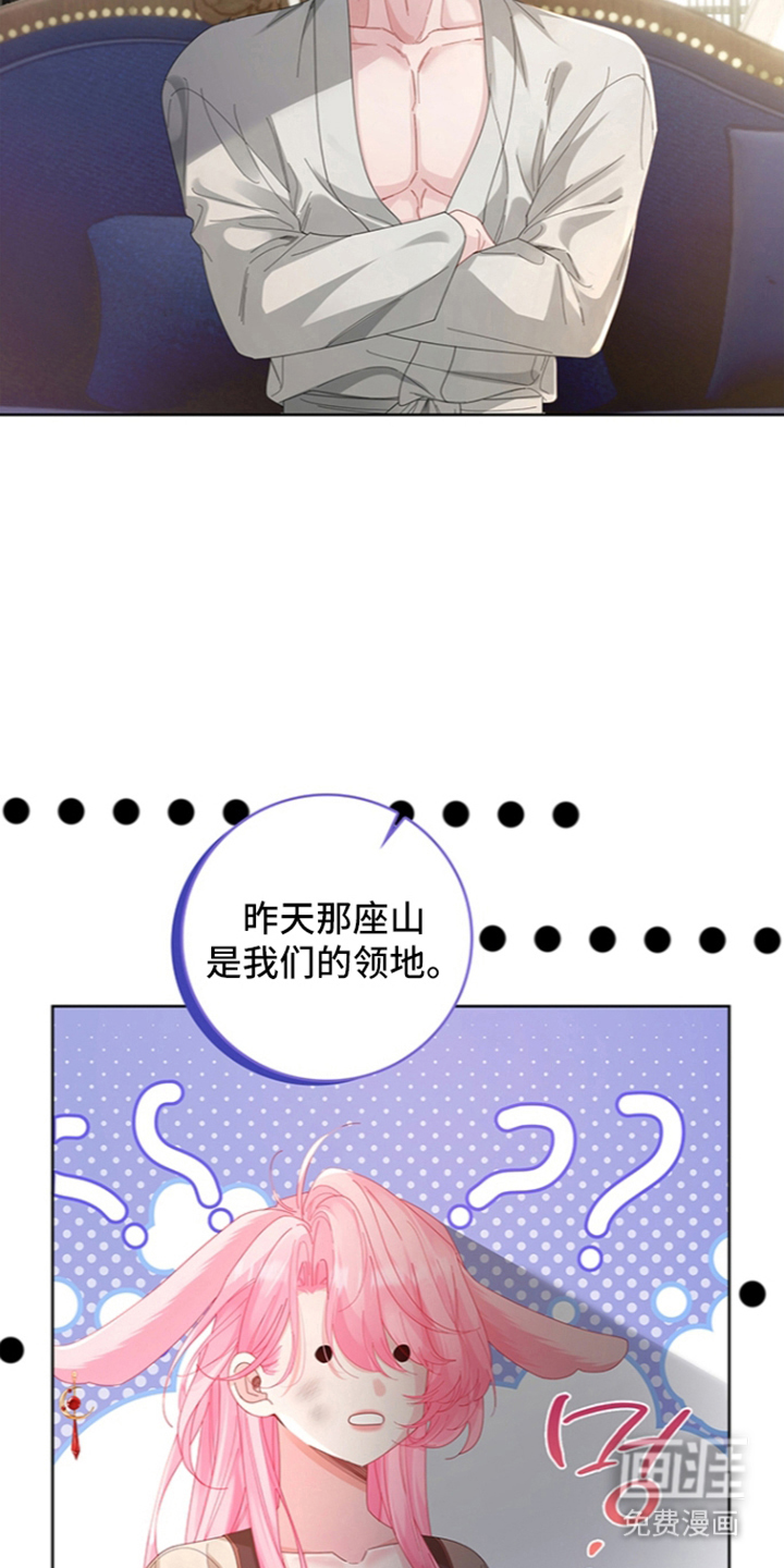 黑狼公爵的兔子漫画-图16