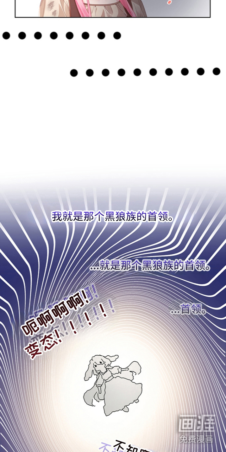 黑狼公爵的兔子漫画-图17