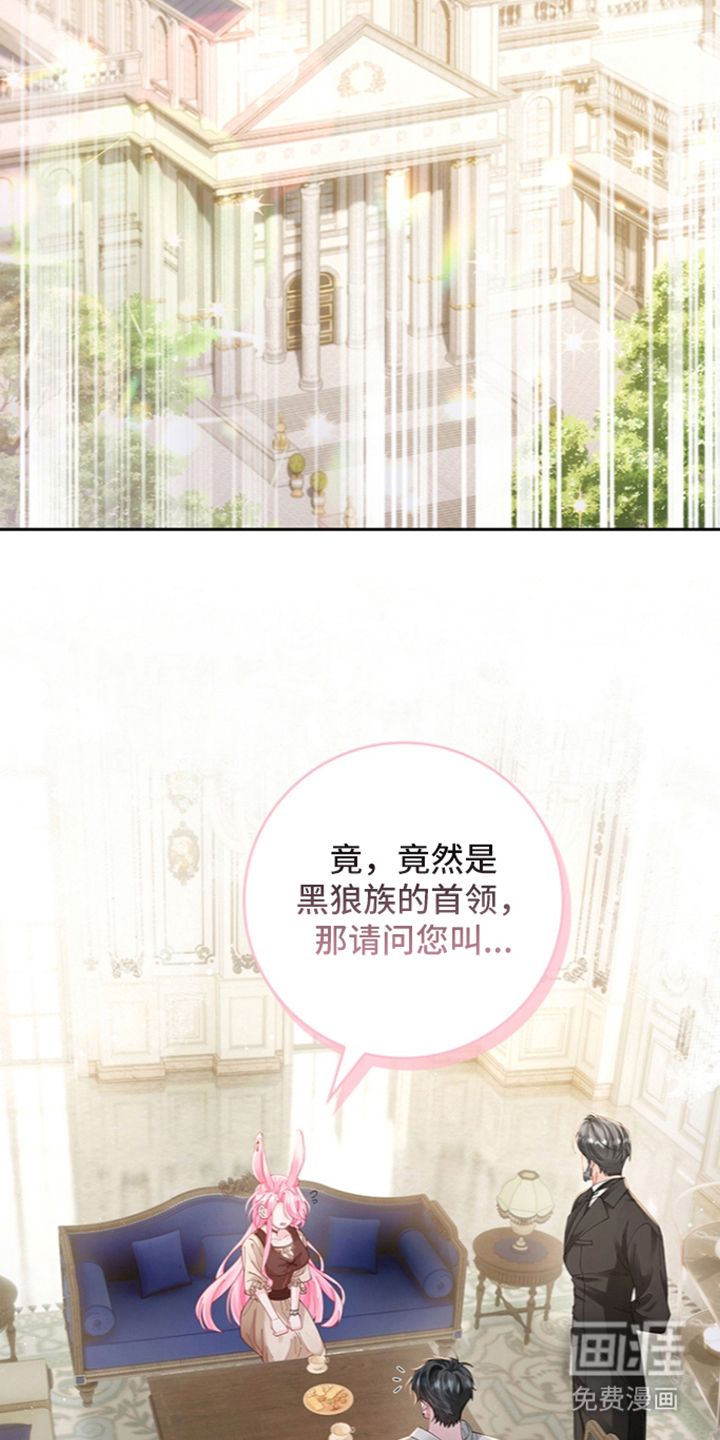 黑狼公爵的兔子漫画-图19