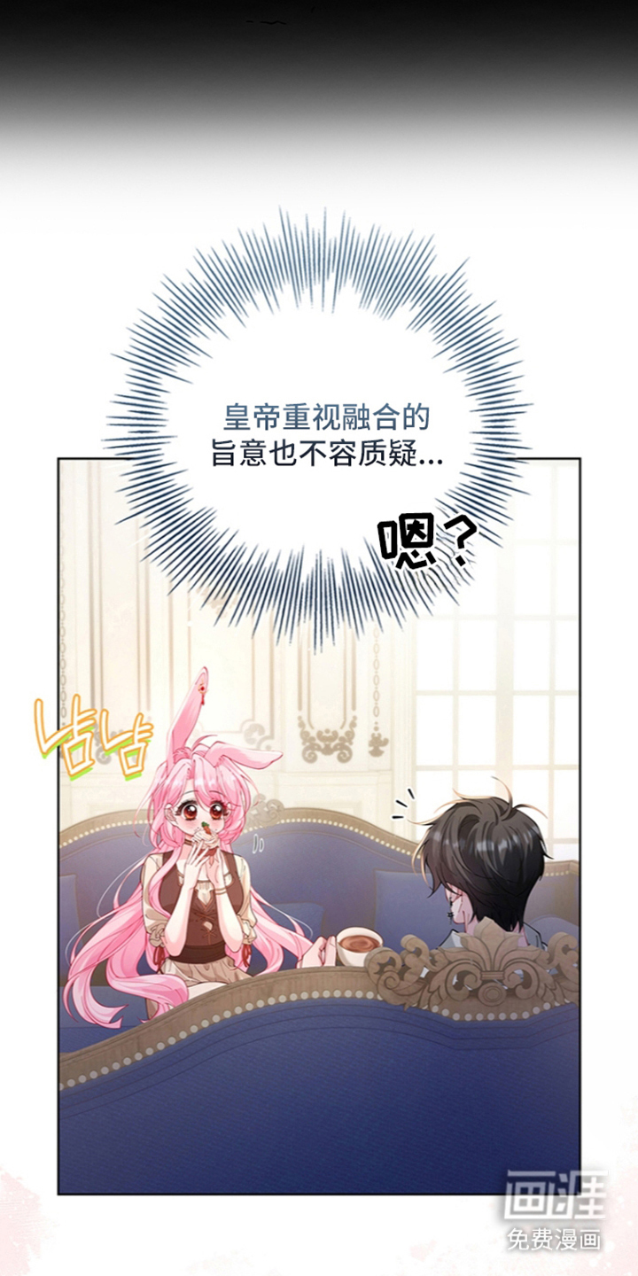 黑狼公爵的兔子漫画-图29