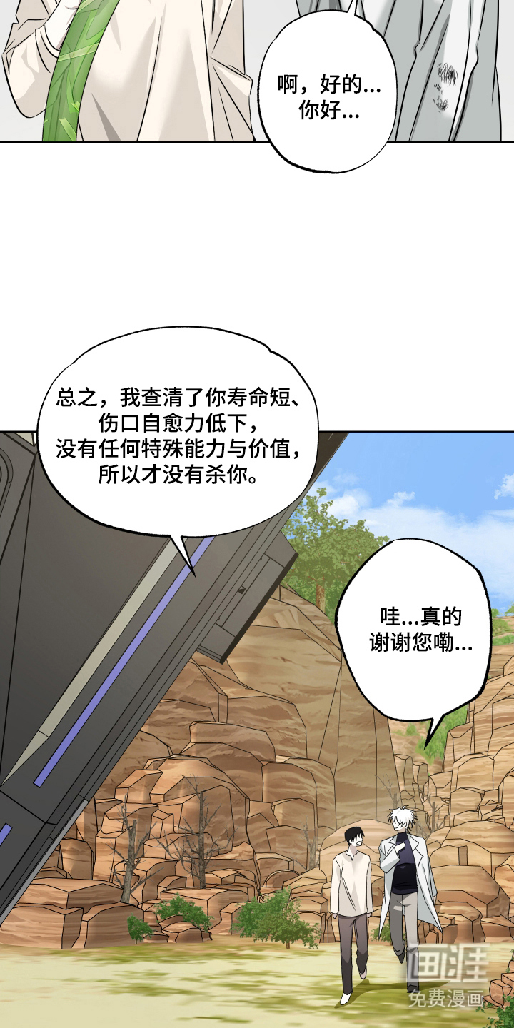 99号奇遇漫画-图18