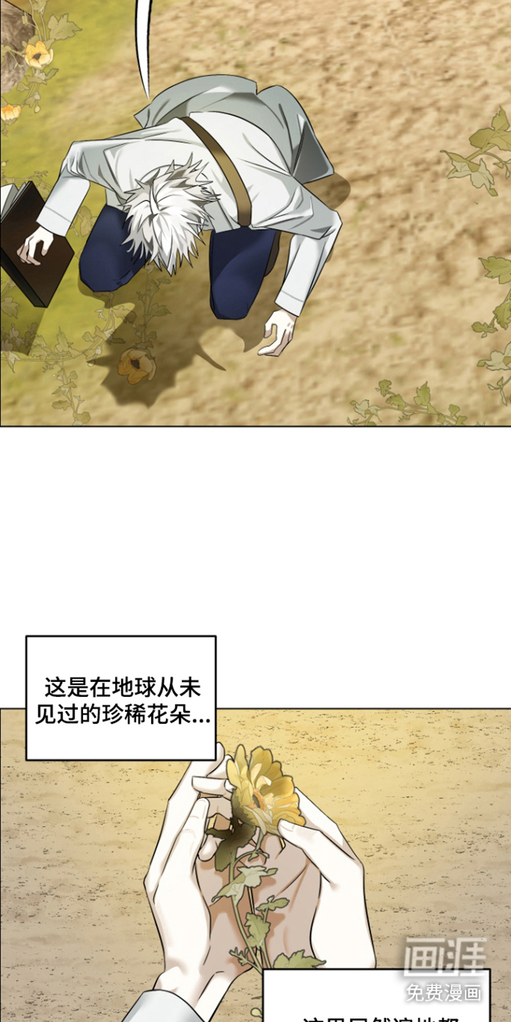 99号奇遇漫画-图13