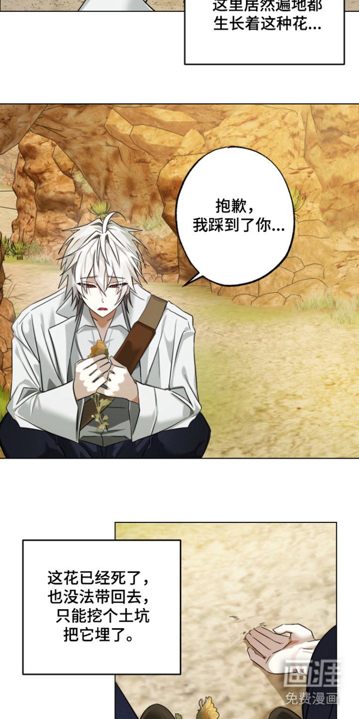 99号奇遇漫画-图14