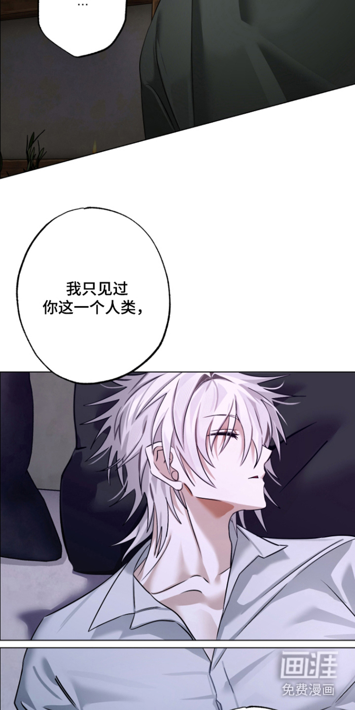 99号奇遇漫画-图13