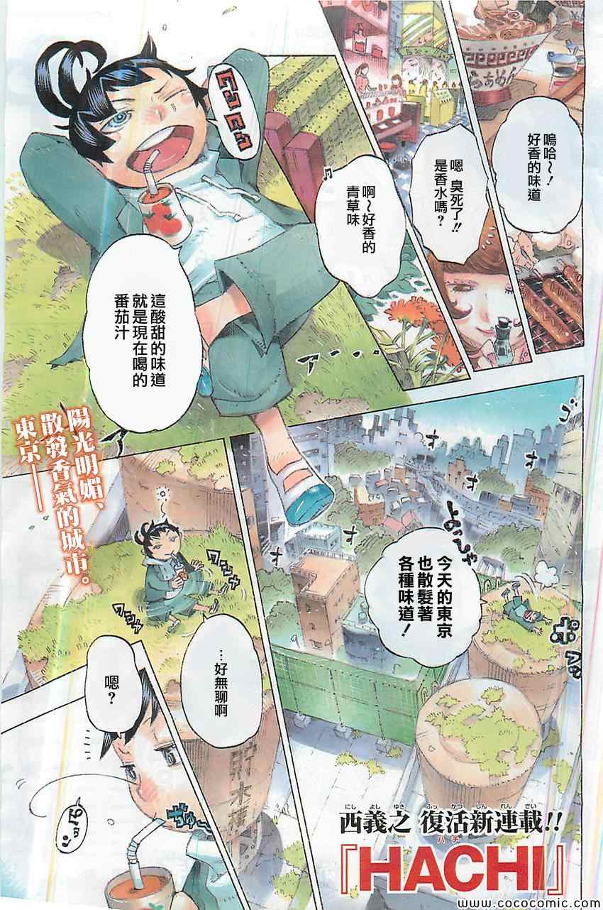 HACHI -东京23宫-第1话图