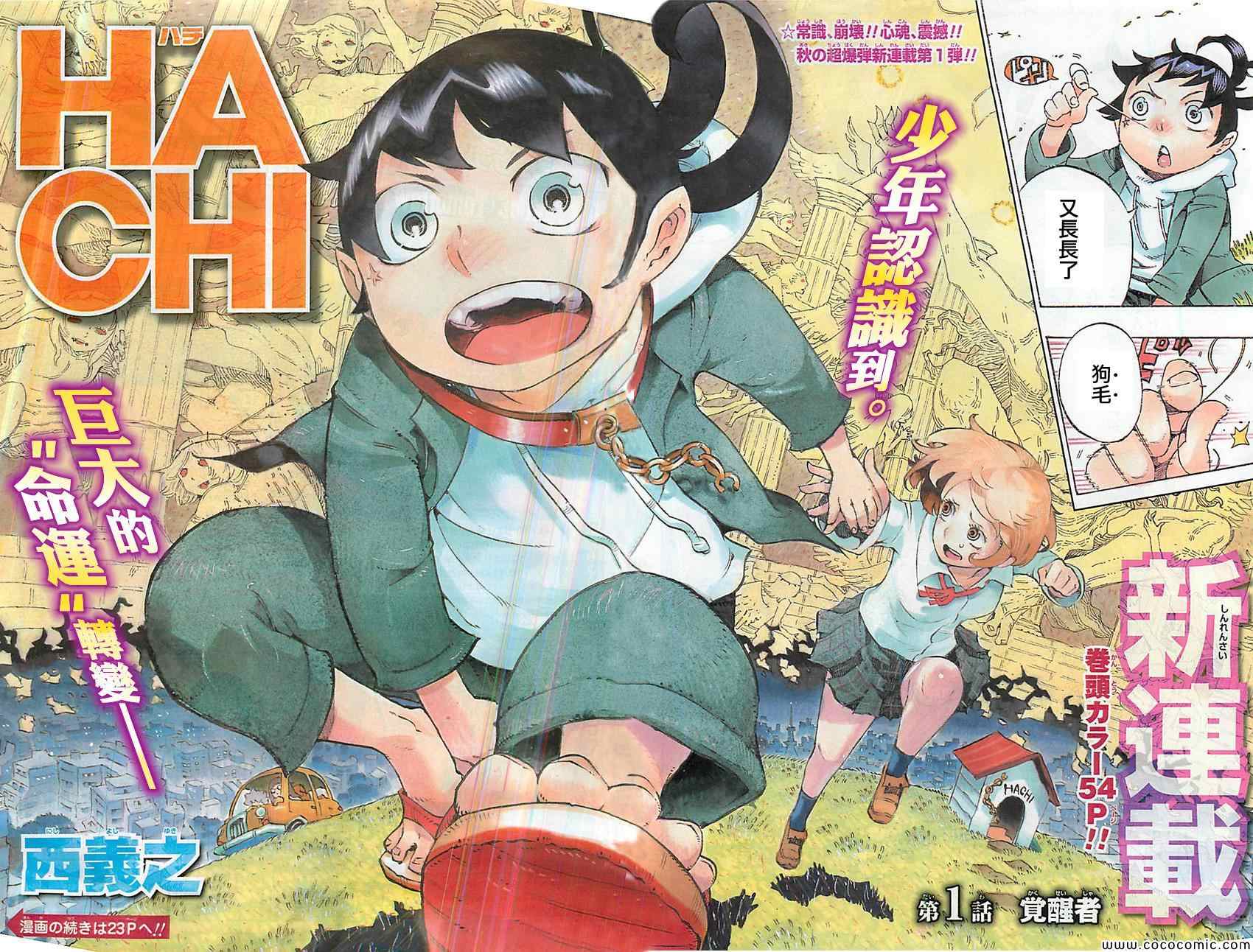 HACHI -东京23宫-第1话图