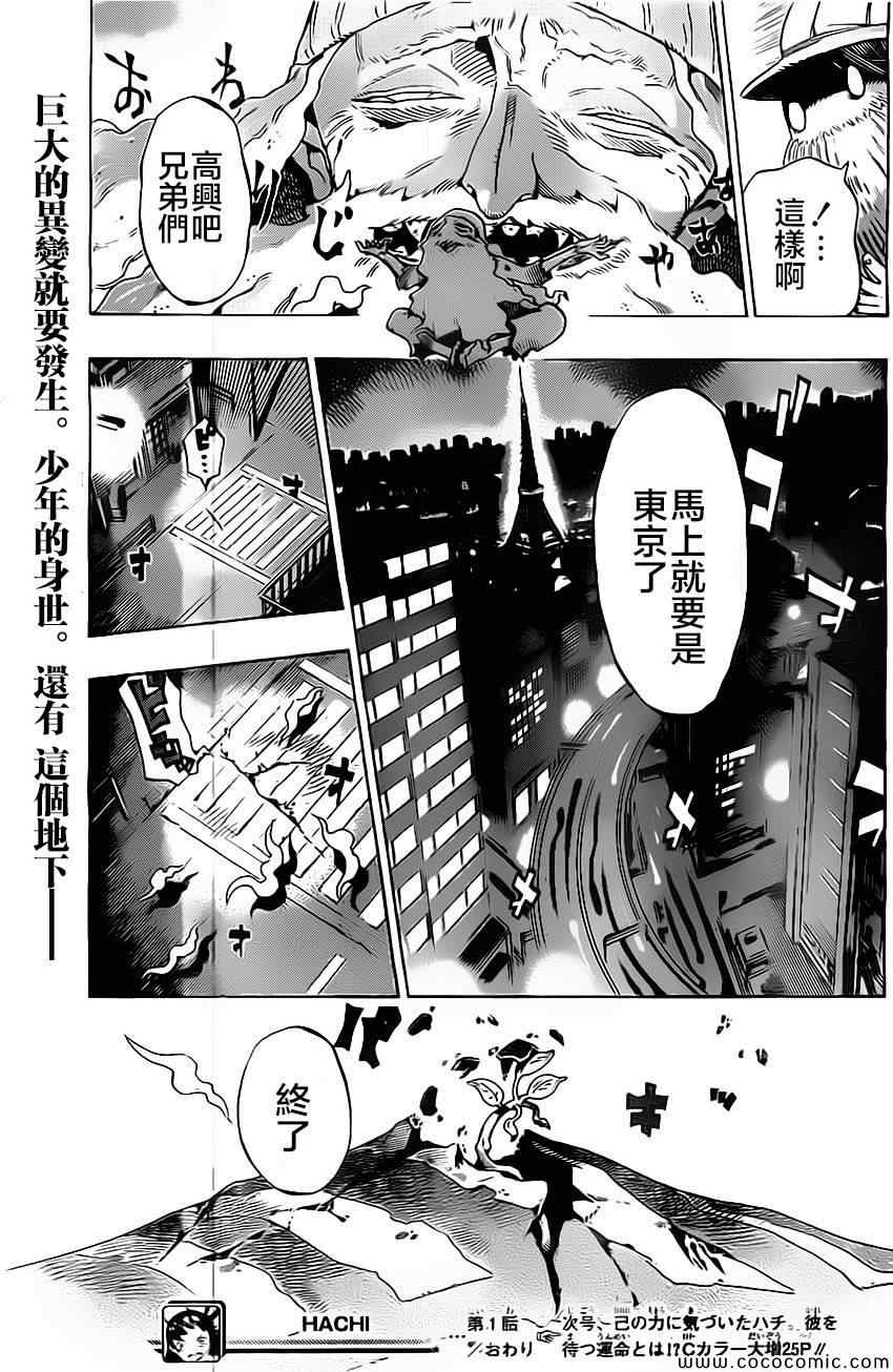 HACHI -东京23宫-第1话图