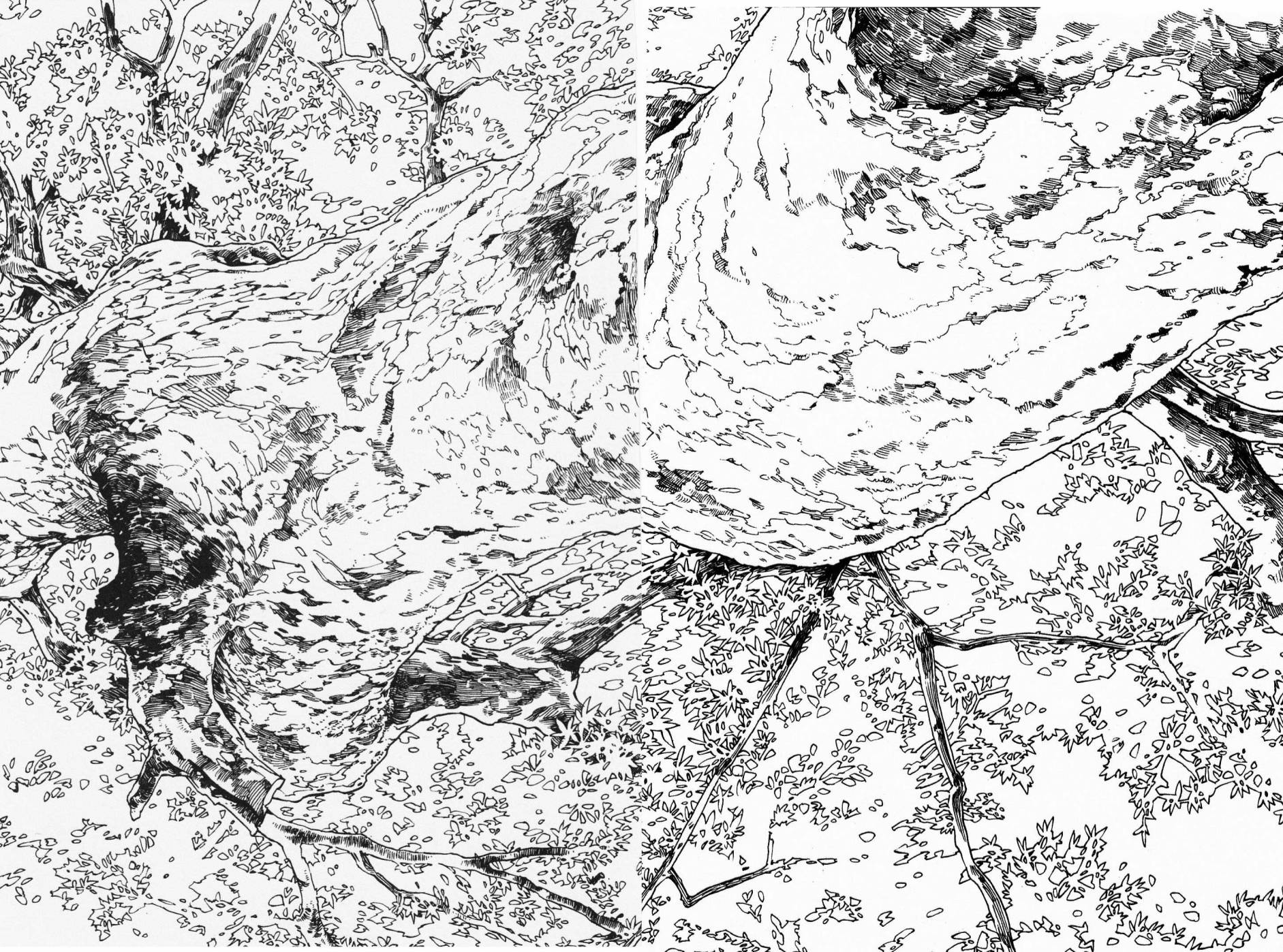 哈库梅伊与蜜珂析第15话图