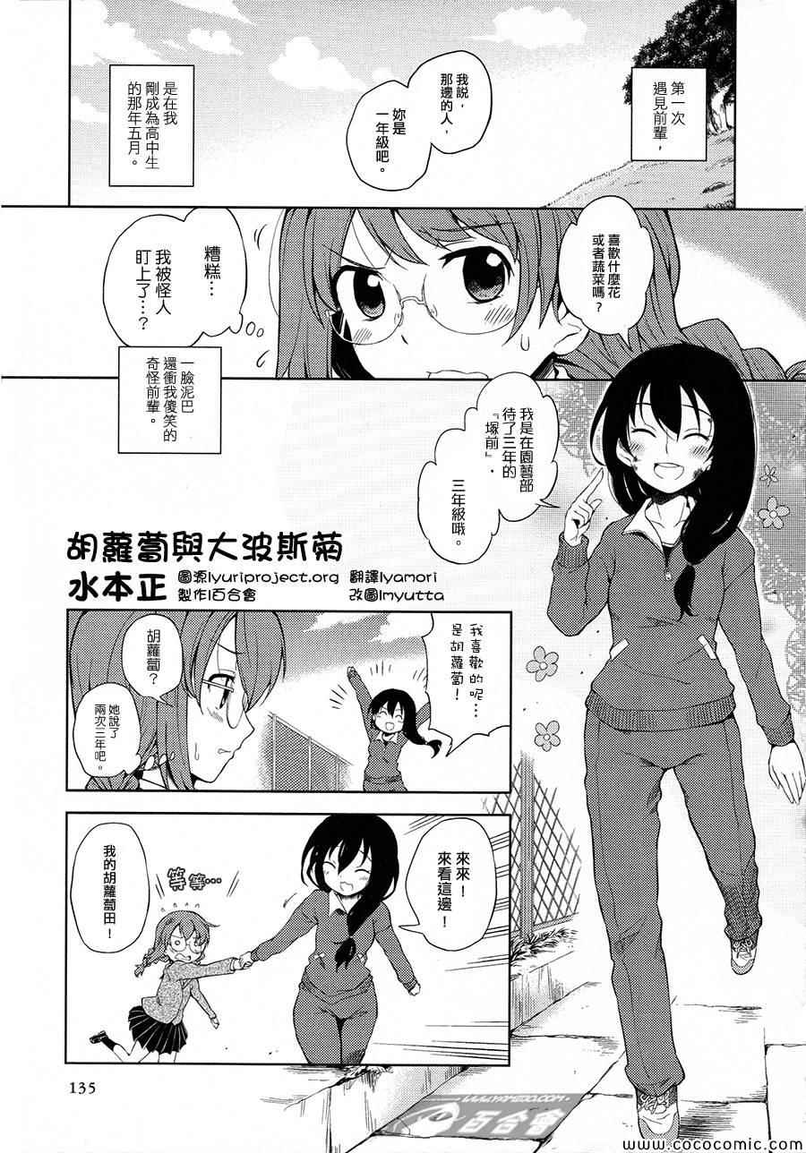 胡萝卜与大波斯菊全1话图