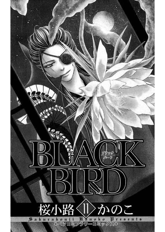 黑鸟恋人第11卷图
