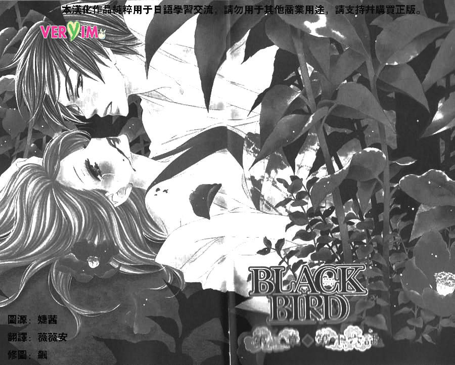 黑鸟恋人第48话图