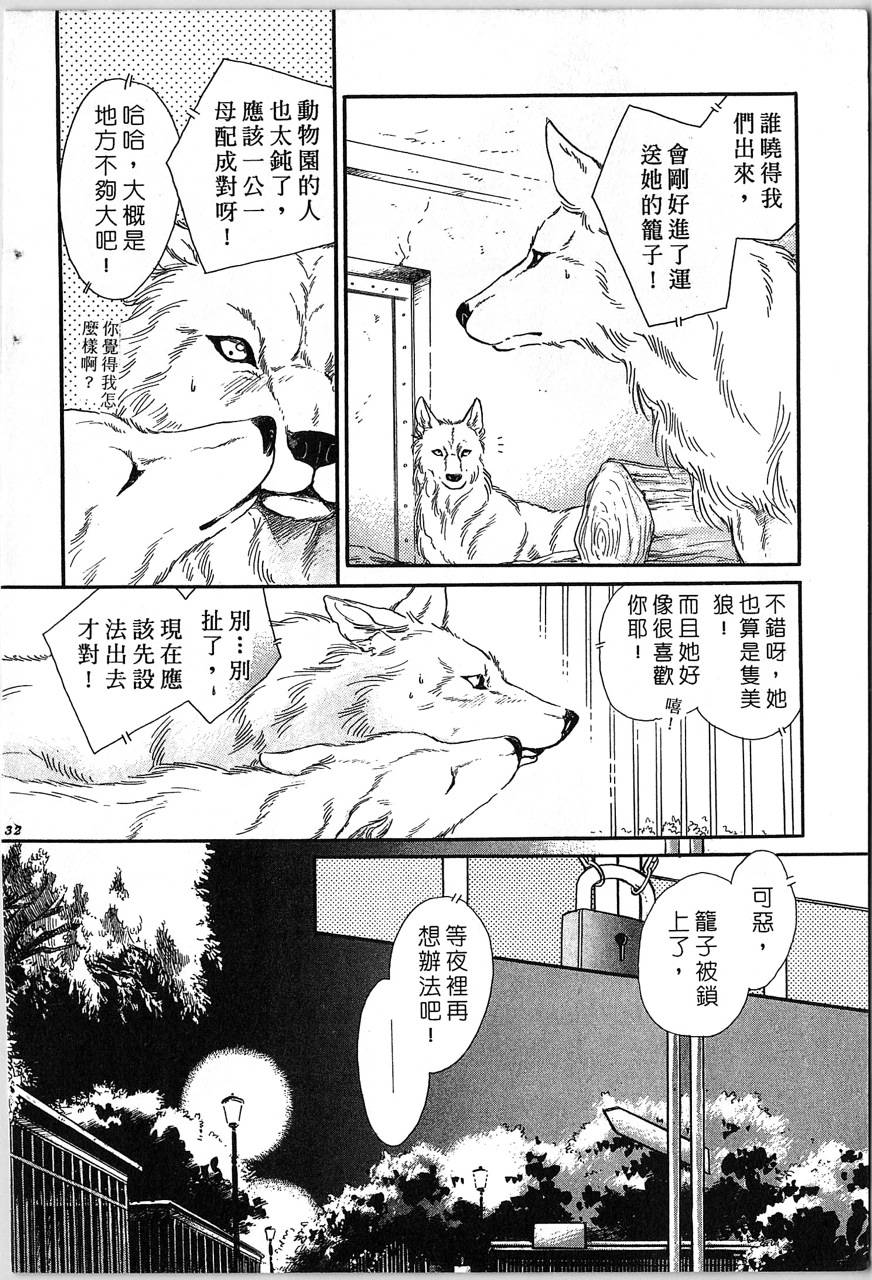 幻兽圣骑士第2卷图