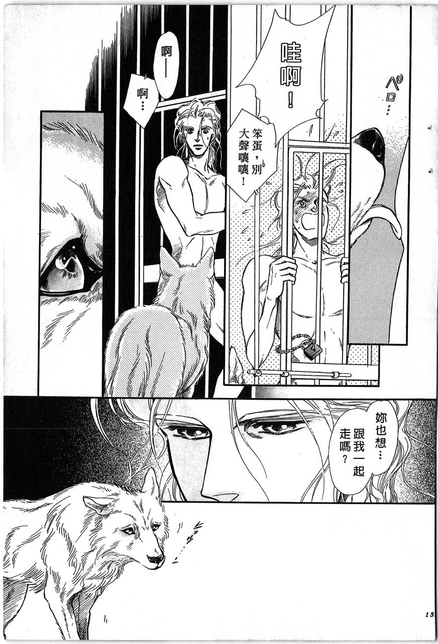 幻兽圣骑士第2卷图