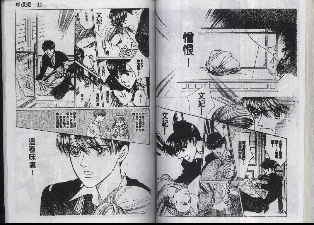 辉夜姬第14卷图