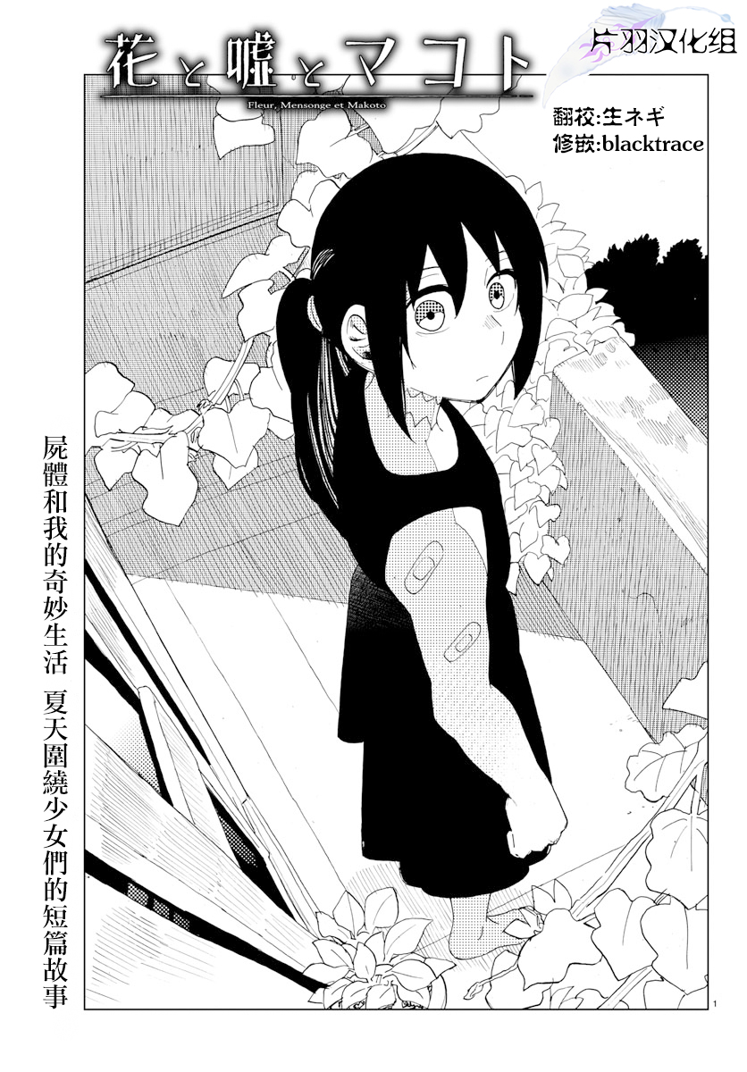 花与谎言与真实第11话图