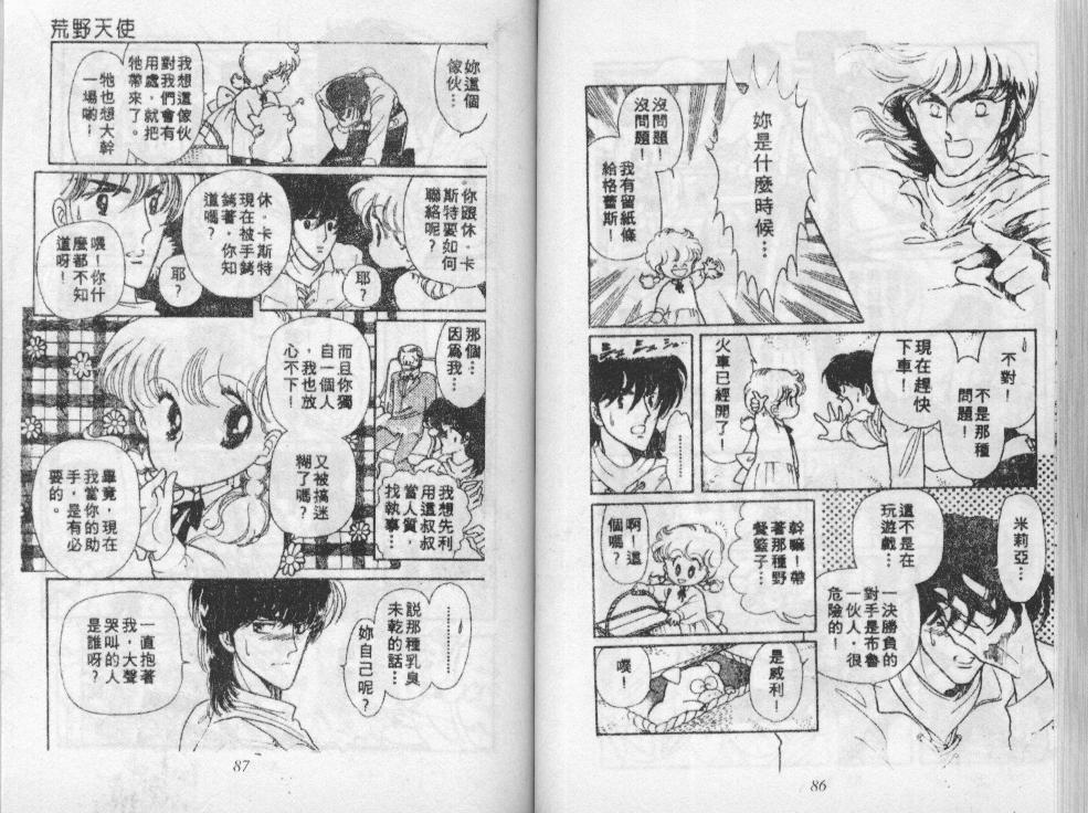 荒野天使 第3卷 第44页