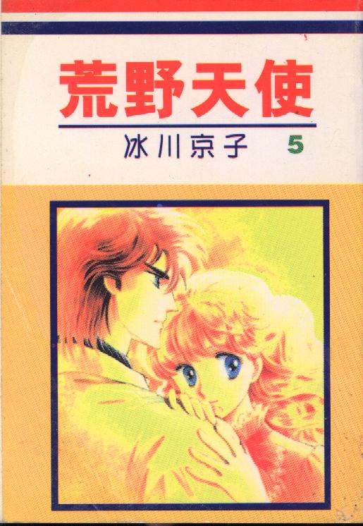 荒野天使第5卷图