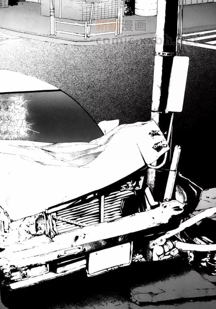 极道虎与小白兔Black or White 2图