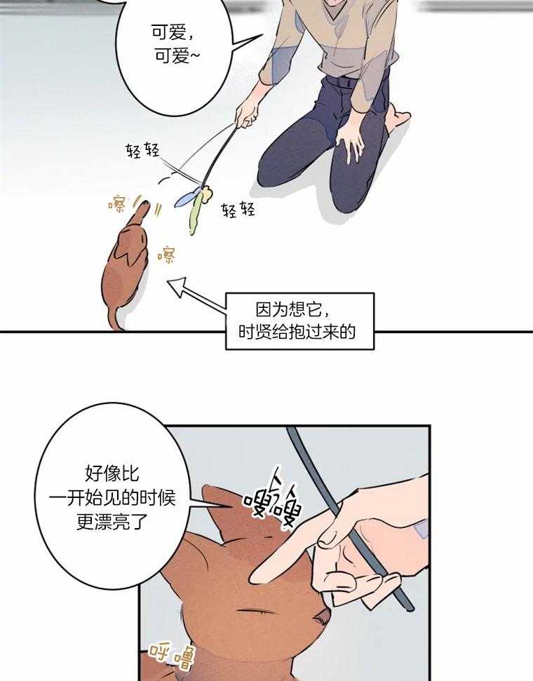 结婚？可以啊！第30话图