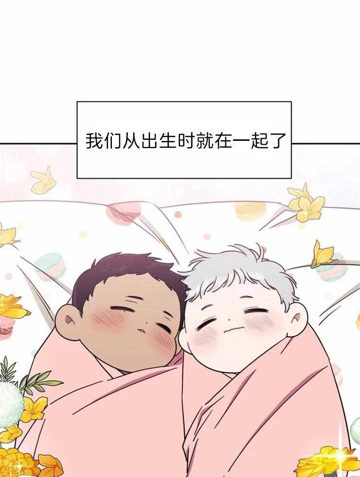 假定关系第33话图