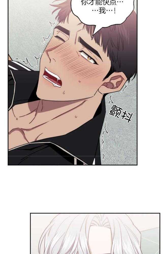 假定关系第67话图