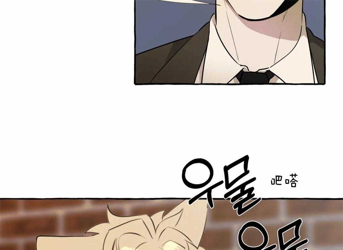 捡只宠物被攻了第1话图