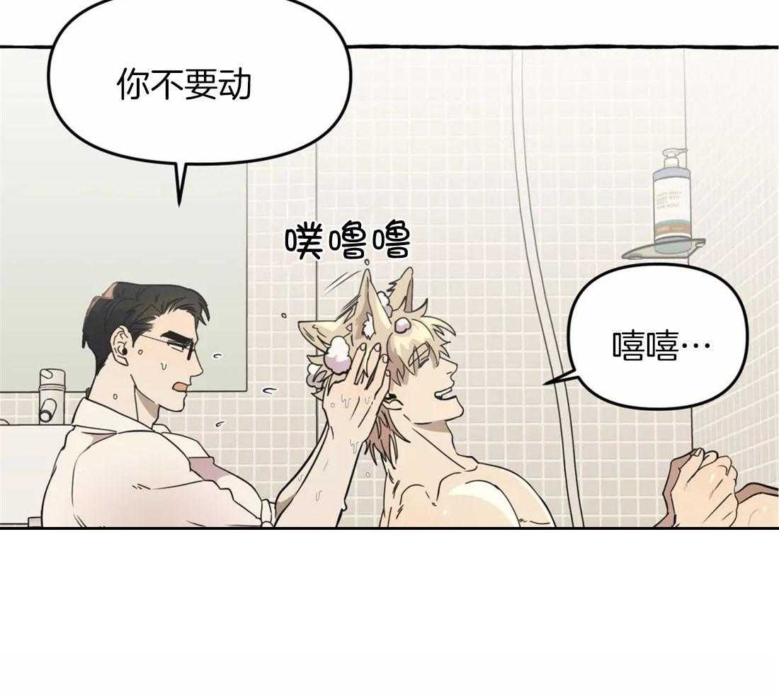 捡只宠物被攻了第12话图