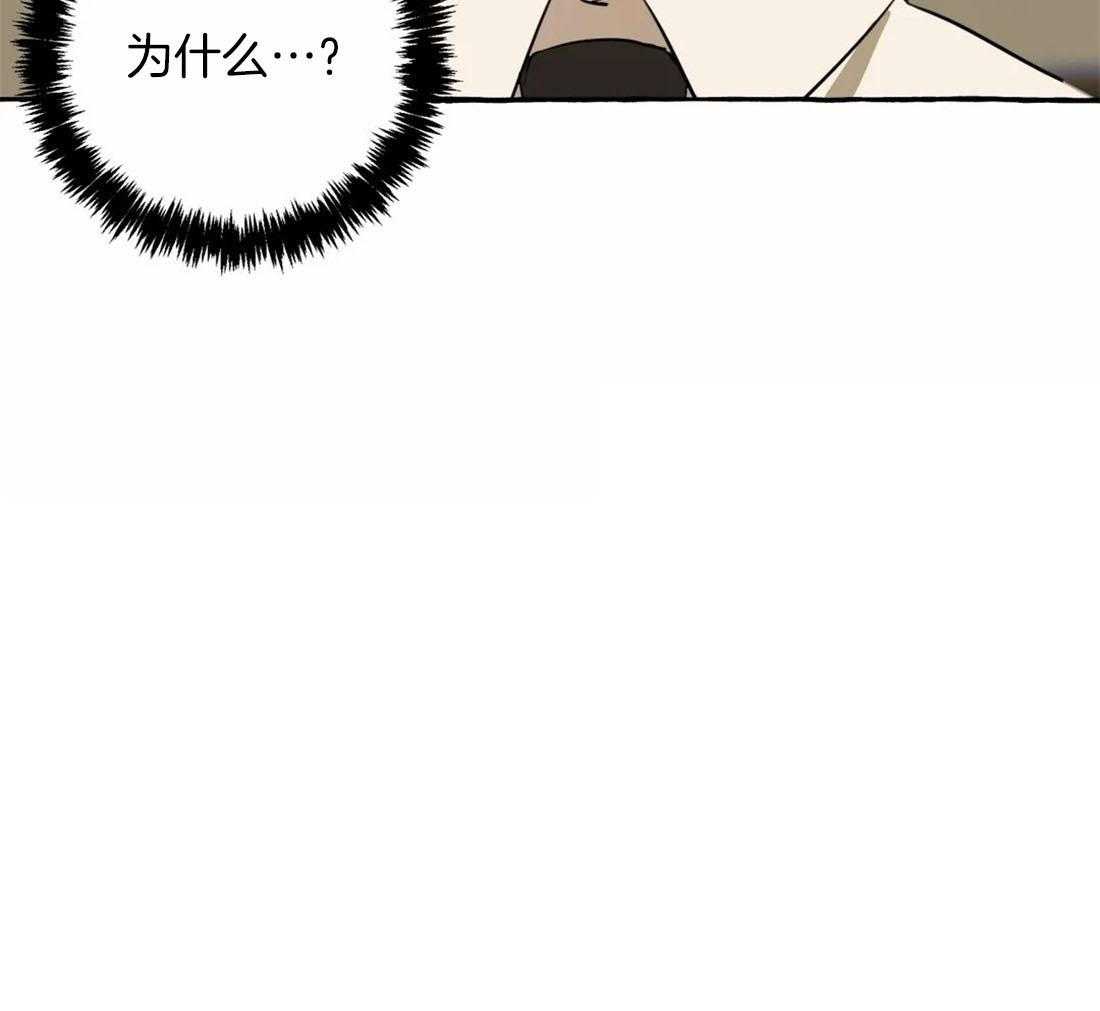 捡只宠物被攻了第13话图