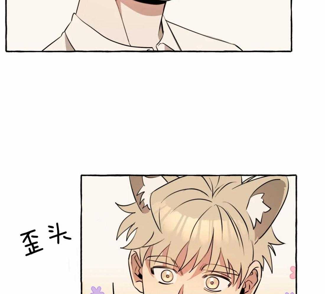 捡只宠物被攻了第16话图