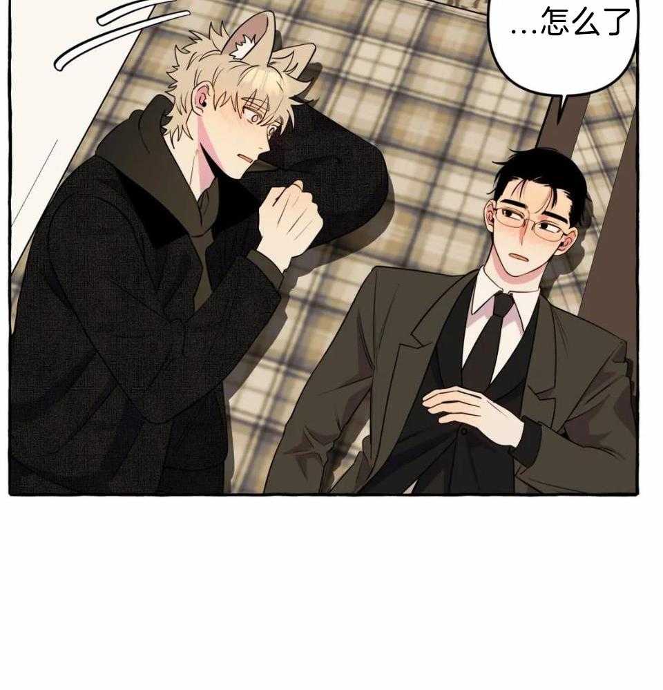 捡只宠物被攻了第35话图