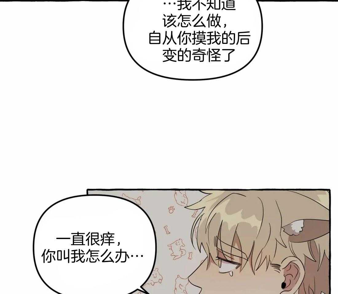 捡只宠物被攻了第4话图