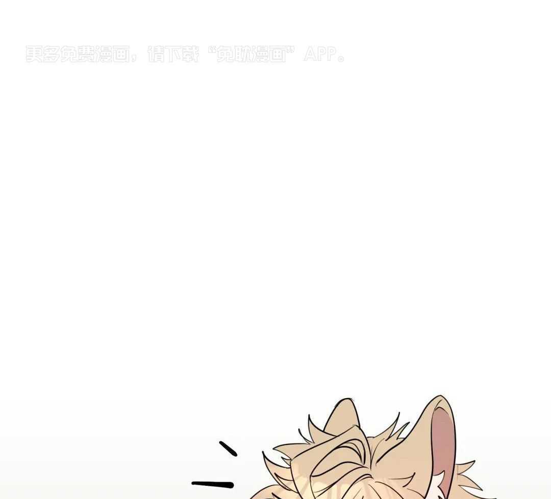 捡只宠物被攻了第42话图