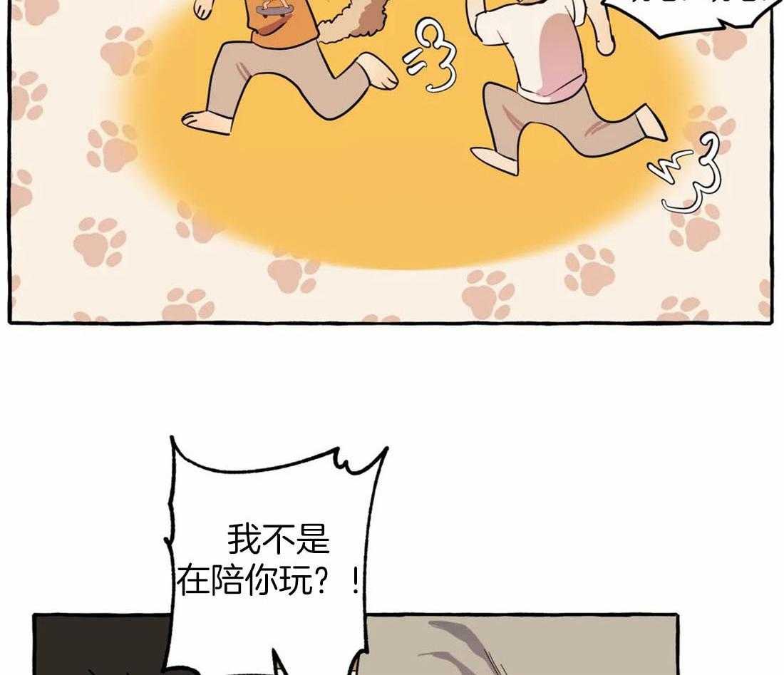 捡只宠物被攻了第8话图