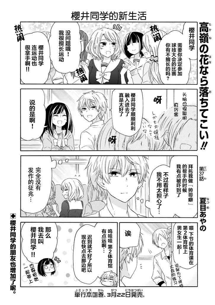 就算是高岭之花也要攻略！37话图