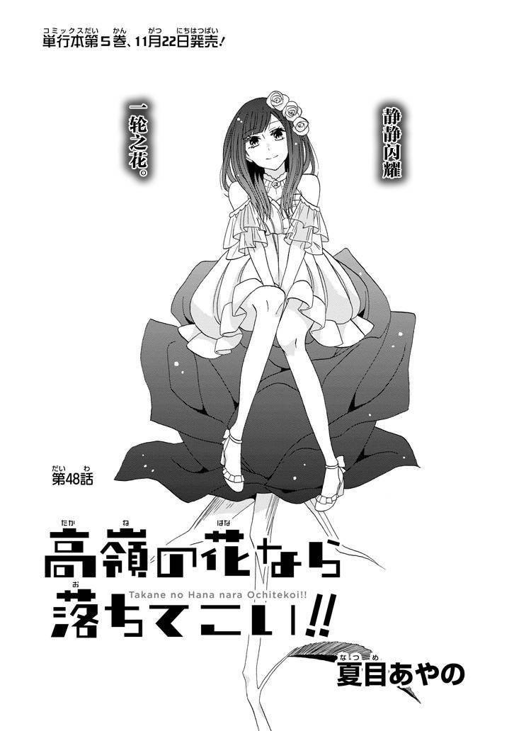 就算是高岭之花也要攻略！48话图