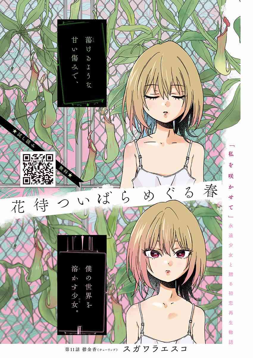 荆姬花待春11话图